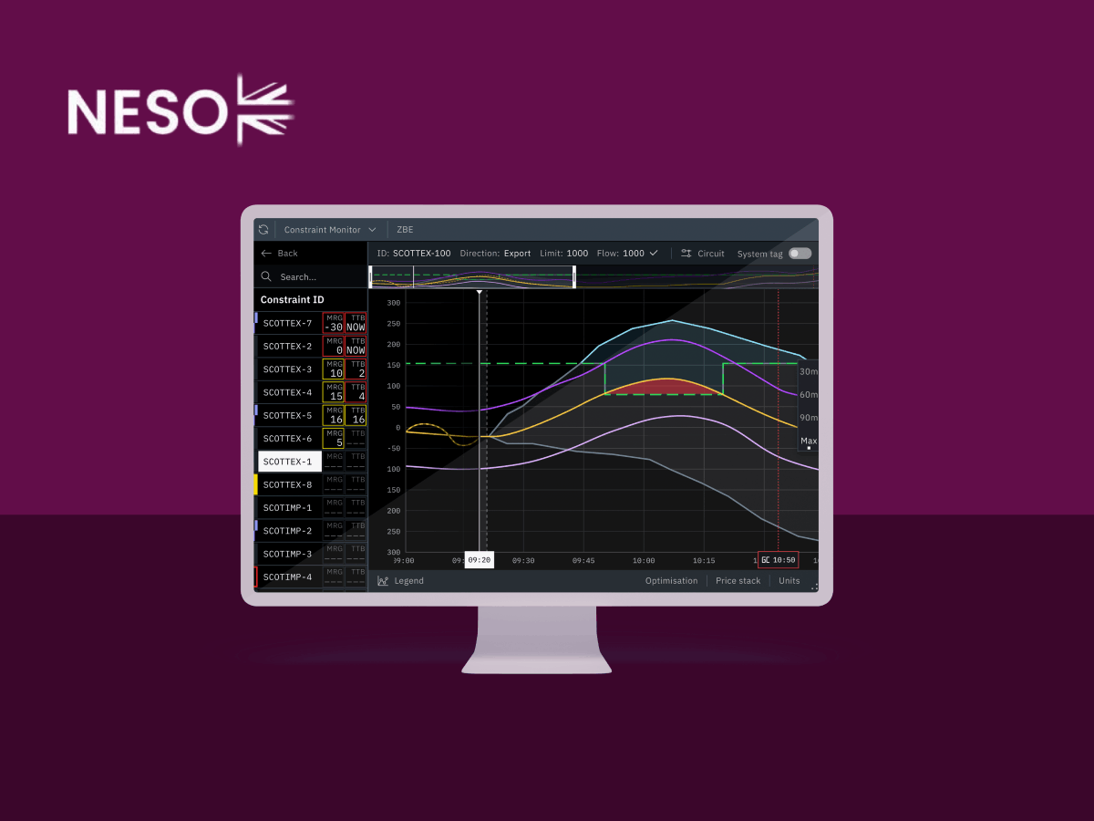 NESO project preview